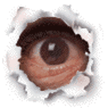 Eyeball Looking Through A Wall GIF
