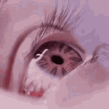 Eyeball Suddenly Disappearing GIF