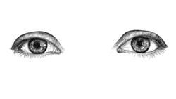 Eyes Looking Upward Sketch GIF
