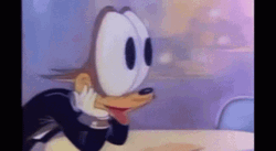 Eyes Popping Out Wolf Excitement GIF