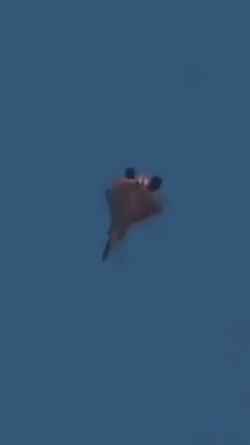 F22 Raptor Aerial Combat GIF