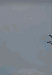 F22 Raptor Duo In Flight GIF