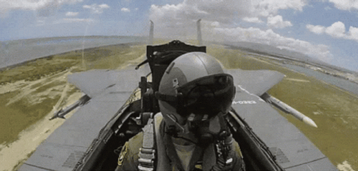 F22 Raptor Side Glance GIF