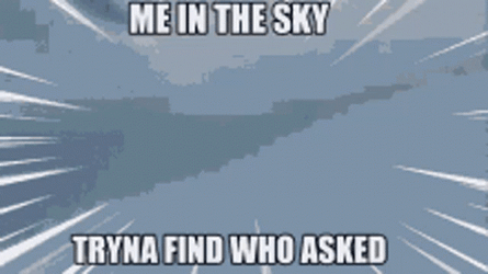 F22 Raptor Who Asked Sky Search GIF