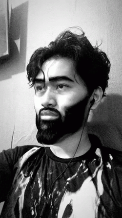 Fabio Gigachad Meme GIF