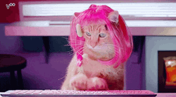 Fabulous Pink Haired Cat Typing Fast GIF