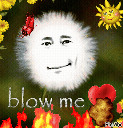 Face Saying Blow Me GIF