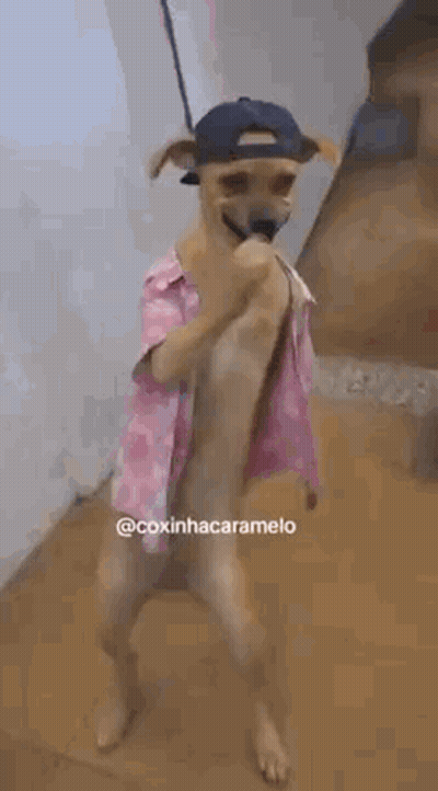 Face Saying You're Such An Idiot GIF