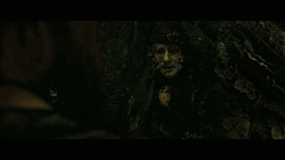 Face Surrounded By Plants In Dark Room GIF