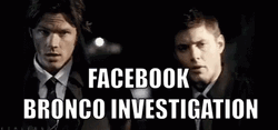 Facebook Bronco Investigation GIF