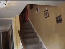 Fail Guy Costume Introduction Falling Down Stairs GIF