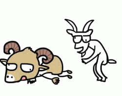 Fainting Goat GIF