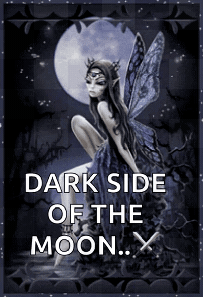 Fairy Saying Dark Side Of The Moon GIF