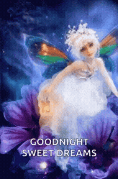 Fairy Sitting On Flower Saying Goodnight Sweet Dreams GIF