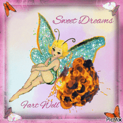 Fairy Sweet Dreams And Fart Well GIF