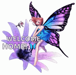 Fairy Welcome Home GIF