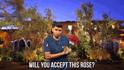 Faizal Khamisa Bachelorette Rose GIF
