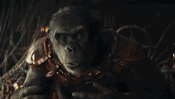 Fake King Talks About Caesar GIF