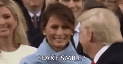 Fake Smile Melania Donald Trump GIF