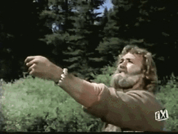 Falcon Landed On Man's Hand GIF