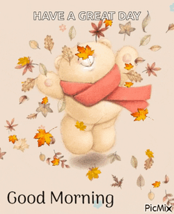 Fall Morning GIF