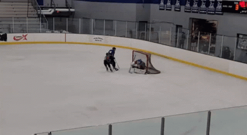 Fallfireup Hockey GIF