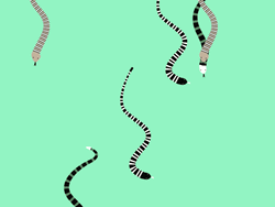 Falling Coral Reef Snakes GIF