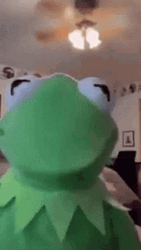 Falling From Ceiling Fan Kermit The Frog GIF