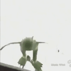 Falling From Rooftop Kermit The Frog GIF