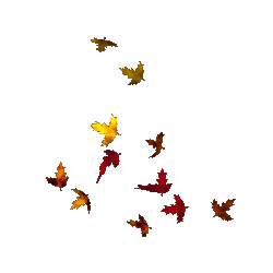 Falling Leaves Circling Path GIF