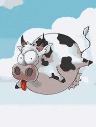 Falling Round Cow