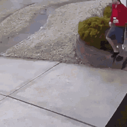 Falling Snow Day GIF