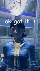 Fallout Game Character OK Got It GIF