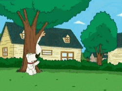 Family Guy Funny Peter Tiptoe GIF