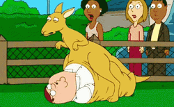 Family Guy Kangaroo Carry GIF