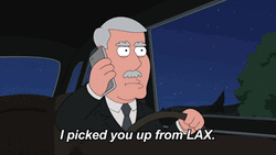 Family Guy OTW To LAX Airport GIF