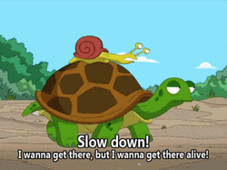 Family Guy Snail Turtle Slow Down GIF
