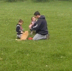 Family Rocket Fail GIF