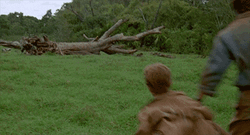 Family Running From Chicks GIF