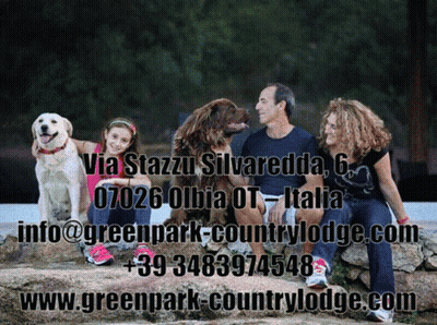 Family Sitting On Rock With Dogs Greenpark Countrylodge.com GIF