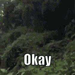 Famous Afrian Okay Meme GIF