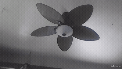 Fan GIF