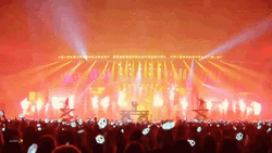 Fan Chant Cheering At Concert GIF
