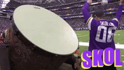 Fans Cheering For Minnesota Vikings GIF