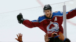 Fans Cheering On Avalanche Team GIF