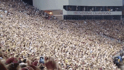 Fans Cheering Tomahawk Chop Campbell Stadium GIF