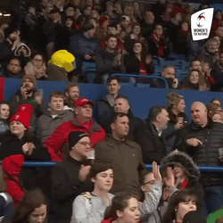 Fans Winning Reaction Womens Rugby GIF