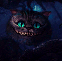 Fantasy Cheshire Cat Alice In Wonderland