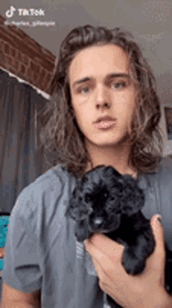 Fantoms Charliegillespie GIF