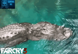 Far Cry 3 Meme Crocodile